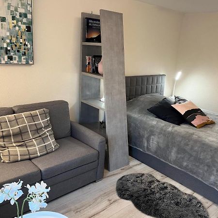 Alice Apartment Wackernheim Ingelheim am Rhein Zewnętrze zdjęcie