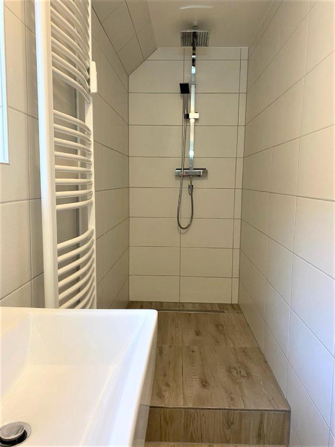 Alice Apartment Wackernheim Ingelheim am Rhein Zewnętrze zdjęcie