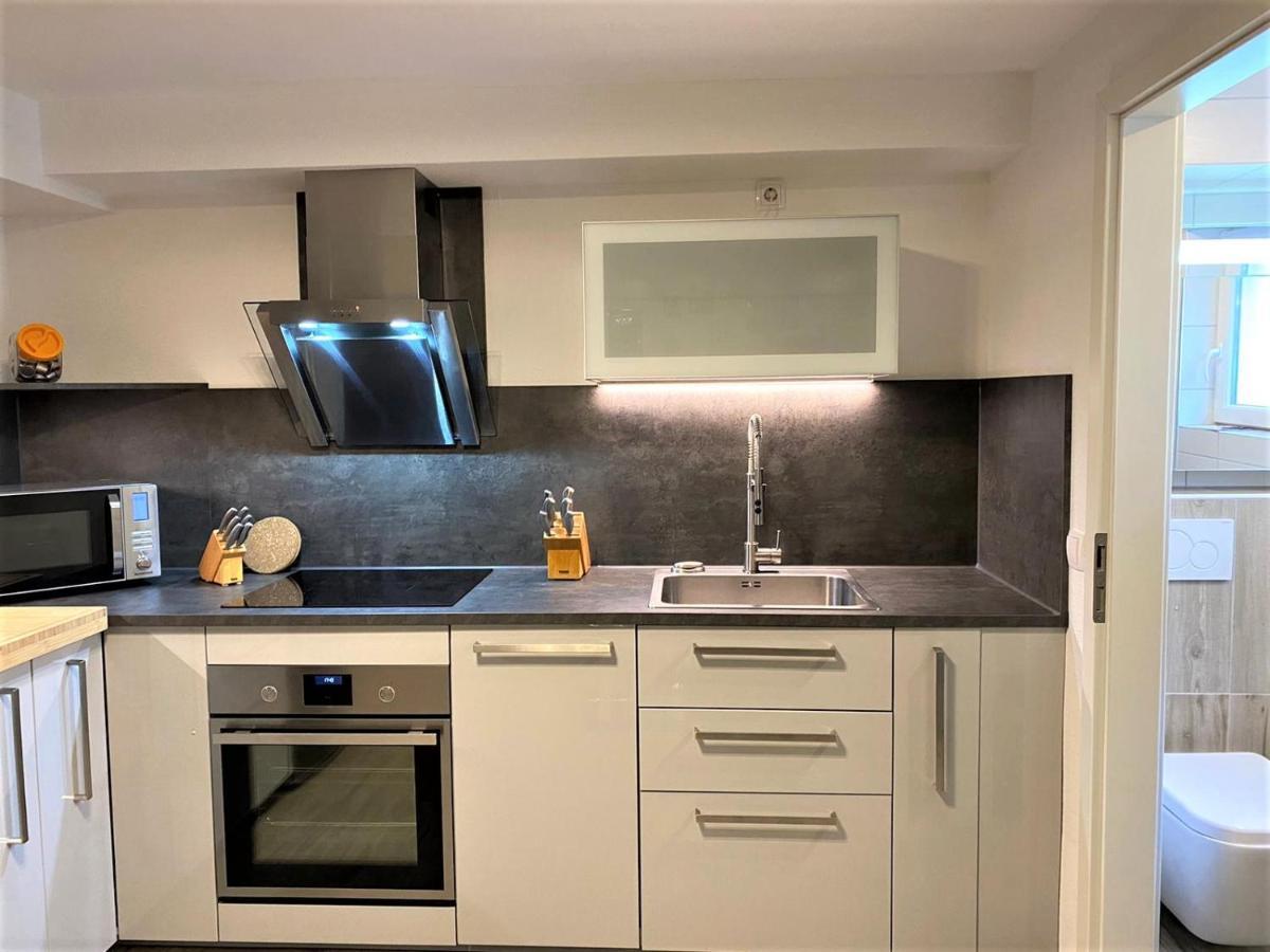 Alice Apartment Wackernheim Ingelheim am Rhein Zewnętrze zdjęcie