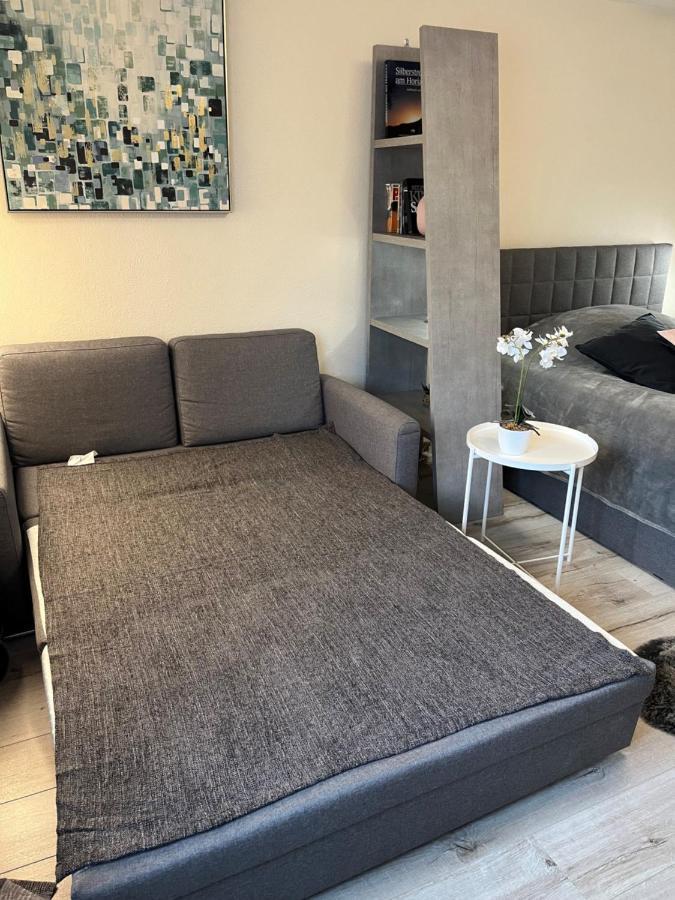 Alice Apartment Wackernheim Ingelheim am Rhein Zewnętrze zdjęcie